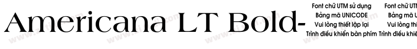 Americana LT Bold字体转换